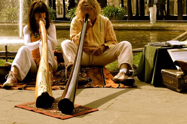 Horns in Dresden by Andrea Scalzo