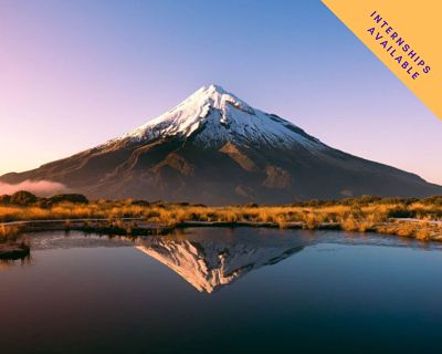 New Zealand